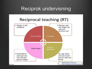 Reciprok undervisning 
 