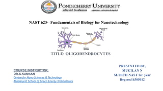 NAST 623- Fundamentals of Biology for Nanotechnology
PRESENTED BY,
MUGILAN N
M.TECH NAST 1st year
Reg no:16305012
COURSE INSTRUCTOR;
DR.S.KANNAN
Centre for Nano Sciences & Technology
Madanjeet School of Green Energy Technologies
TITLE: OLIGODENDROCYTES
 