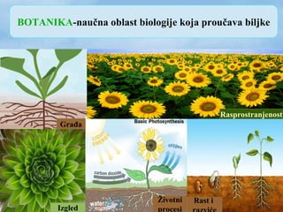 BOTANIKA-naučna oblast biologije koja proučava biljke
Izgled
Građa
Životni
procesi
Rast i
Rasprostranjenost
 