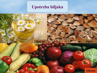 Upotreba biljaka
Kao lek
Ishrana
Ogrev
 