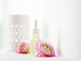 Nastanak i razvoj biljaka