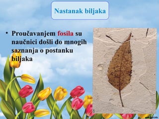 Nastanak biljaka
• Proučavanjem fosila su
naučnici došli do mnogih
saznanja o postanku
biljaka
 