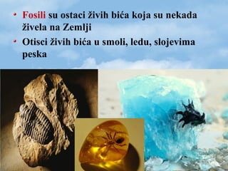 Fosili su ostaci živih bića koja su nekada
živela na Zemlji
Otisci živih bića u smoli, ledu, slojevima
peska
 
