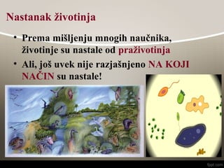 Nastanak životinja
• Prema mišljenju mnogih naučnika,
životinje su nastale od praživotinja
• Ali, još uvek nije razjašnjeno NA KOJI
NAČIN su nastale!
 