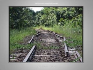 Trilhos serrados para serem roubados
amantesdaferrovia.com.br
 