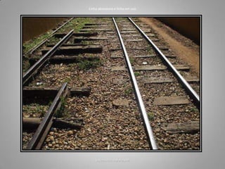 bolcidades.nafoto.net
Linha abandona e linha em uso
 