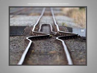 paraiba.com.br
Trilhos retorcidos por terremoto - Christchurch ( Nova Zelândia )
 