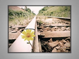 fotografandopensamentos.blogspot.com.br
 