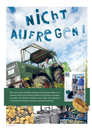 Über drei Tonnen Kartoffeln bewegen zwei Morsumer Männer an
manchen Tagen, Kilo für Kilo per Hand. Ein ehrliches, ein erdiges,
ein echtes, ein köstliches Inselwerk, das einiges über Menschen
verrät und drei Feinde hat: Betrug, Schummelei und Klau.

10 · Natürlich Sylt

 