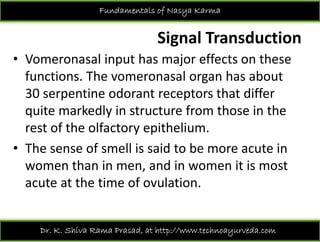 Fundamentals of Nasya Karma
Signal Transduction
• Vomeronasal input has major effects on theseVomeronasal input has major effects on these 
functions. The vomeronasal organ has about 
30 ti d t t th t diff30 serpentine odorant receptors that differ 
quite markedly in structure from those in the 
rest of the olfactory epithelium. 
• The sense of smell is said to be more acute inThe sense of smell is said to be more acute in 
women than in men, and in women it is most 
acute at the time of ovulationacute at the time of ovulation. 
Dr. K. Shiva Rama Prasad, at http://www.technoayurveda.com/
 