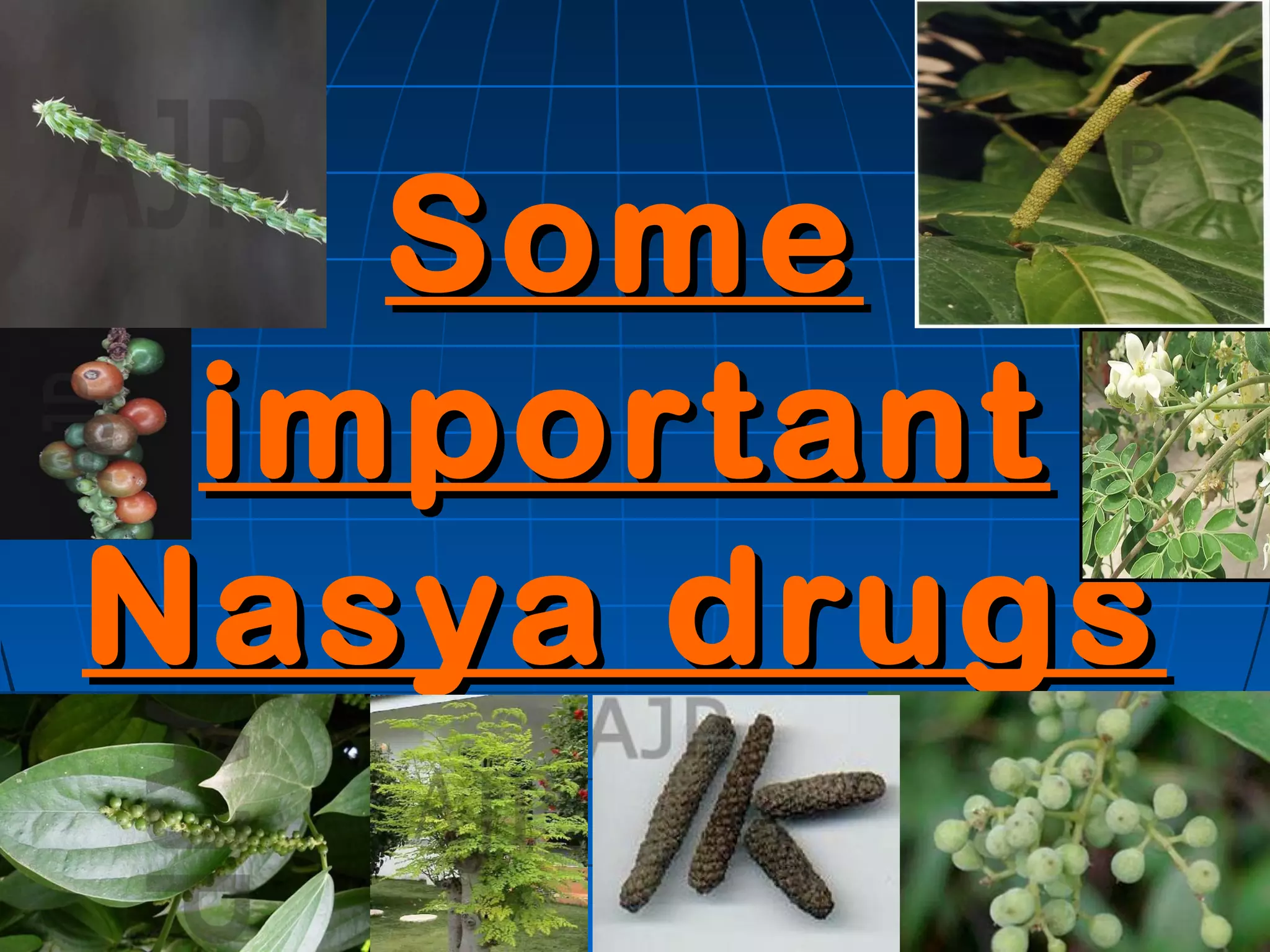 Some
 important
Nasya drugs
 