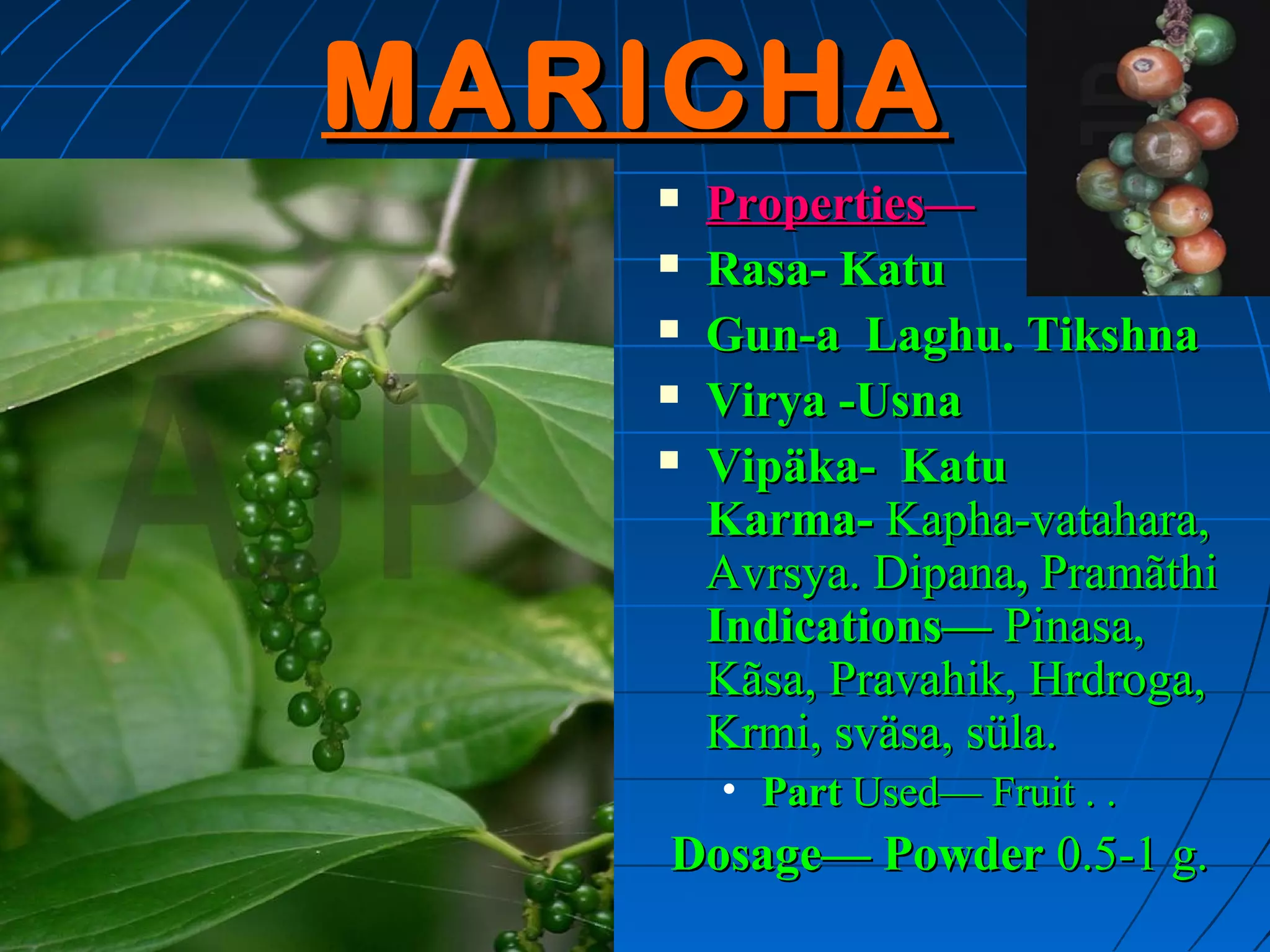 MARICHA
      Properties—
      Rasa- Katu
      Gun-a Laghu. Tikshna
      Virya -Usna
      Vipäka- Katu
       Karma- Kapha-vatahara,
       Avrsya. Dipana, Pramãthi
       Indications— Pinasa,
       Kãsa, Pravahik, Hrdroga,
       Krmi, sväsa, süla.
       • Part Used— Fruit . .
   Dosage— Powder 0.5-1 g.
 