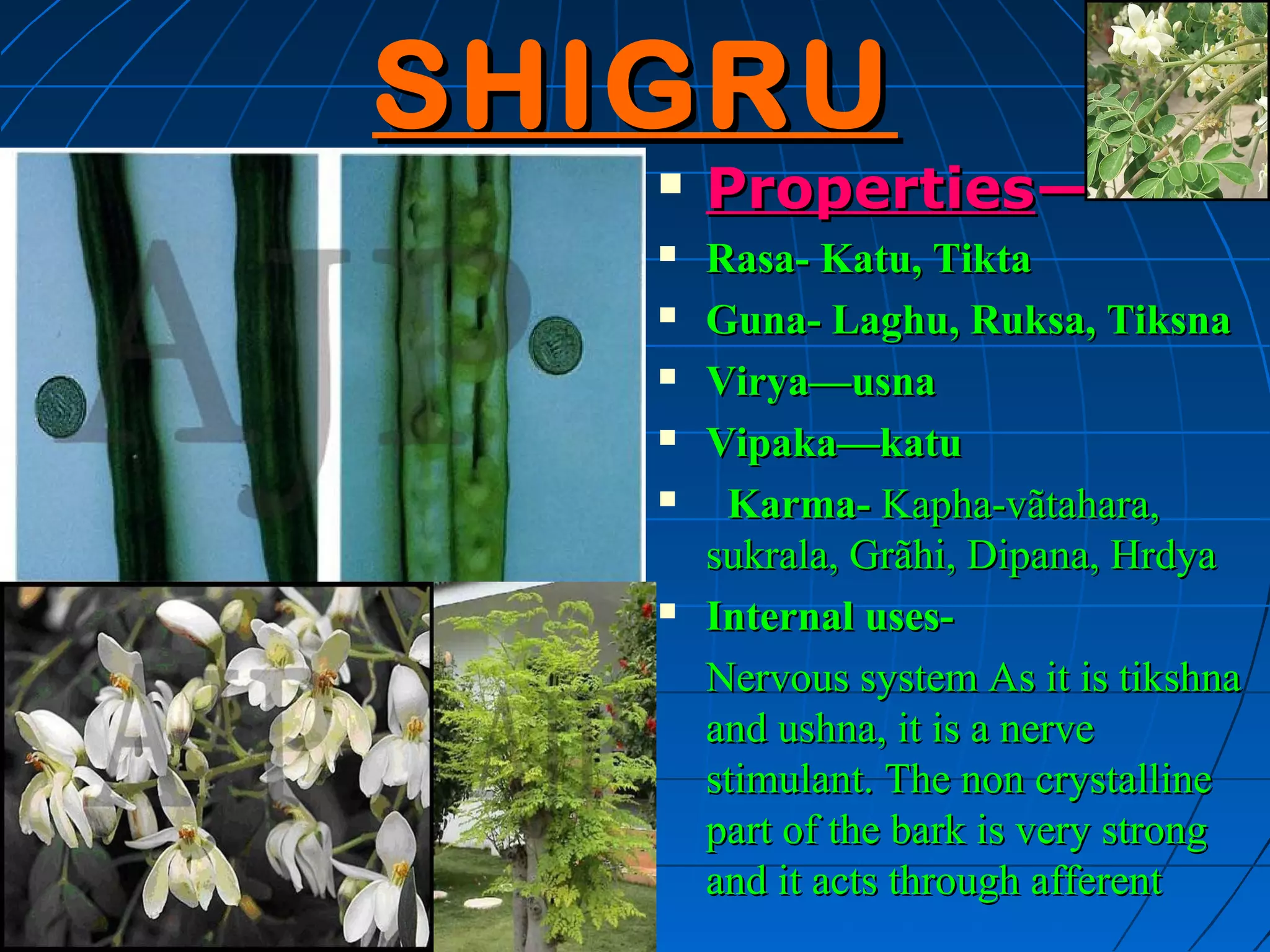 SHIGRU
      Properties—
      Rasa- Katu, Tikta
      Guna- Laghu, Ruksa, Tiksna
      Virya—usna
      Vipaka—katu
       Karma- Kapha-vãtahara,
       sukrala, Grãhi, Dipana, Hrdya
      Internal uses-
       Nervous system As it is tikshna
       and ushna, it is a nerve
       stimulant. The non crystalline
       part of the bark is very strong
       and it acts through afferent
 