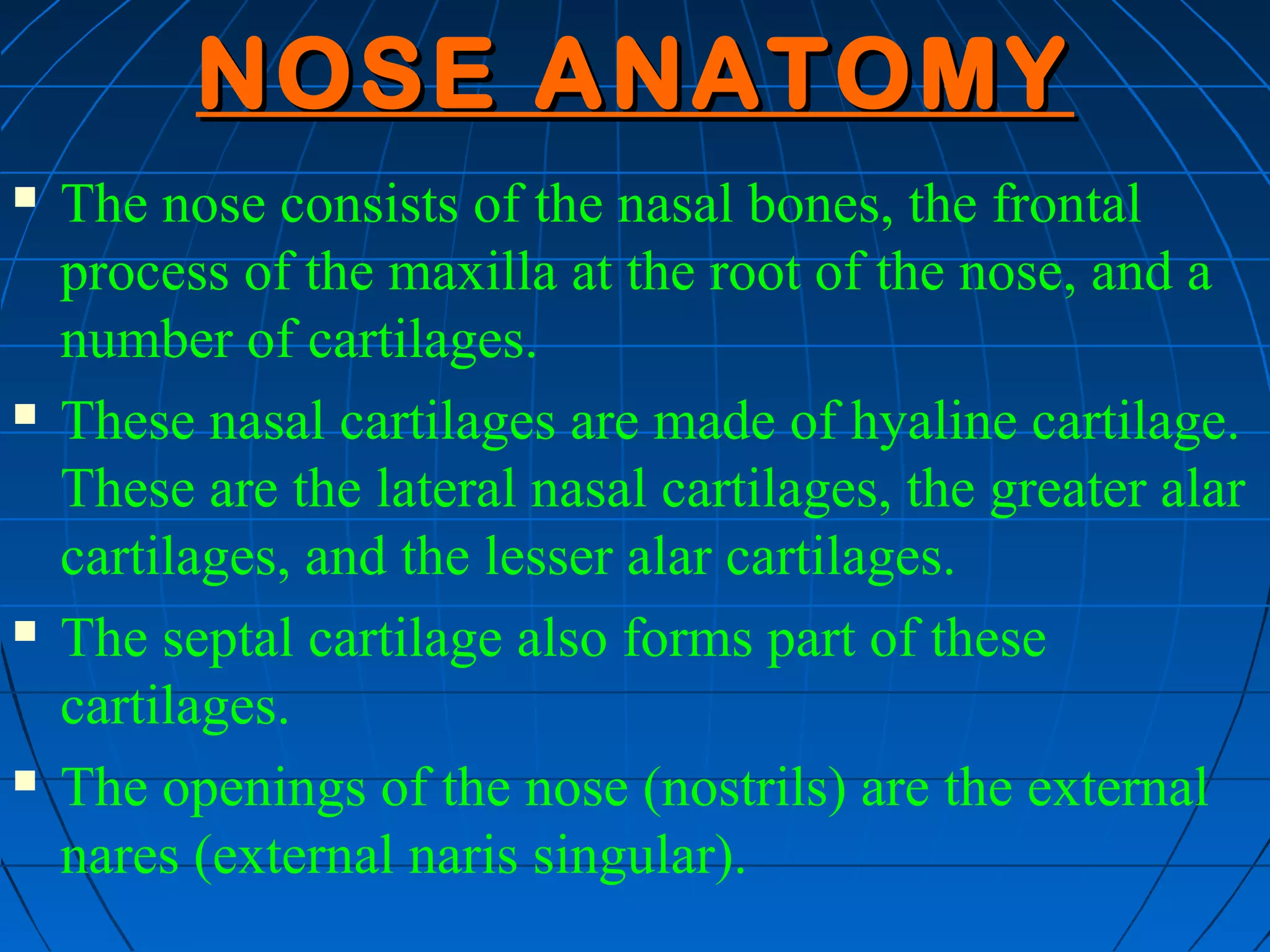 NOSE ANATOMY
   The nose consists of the nasal bones, the frontal
    process of the maxilla at the root of the nose, and a
    number of cartilages.
   These nasal cartilages are made of hyaline cartilage.
    These are the lateral nasal cartilages, the greater alar
    cartilages, and the lesser alar cartilages.
   The septal cartilage also forms part of these
    cartilages.
   The openings of the nose (nostrils) are the external
    nares (external naris singular).
 