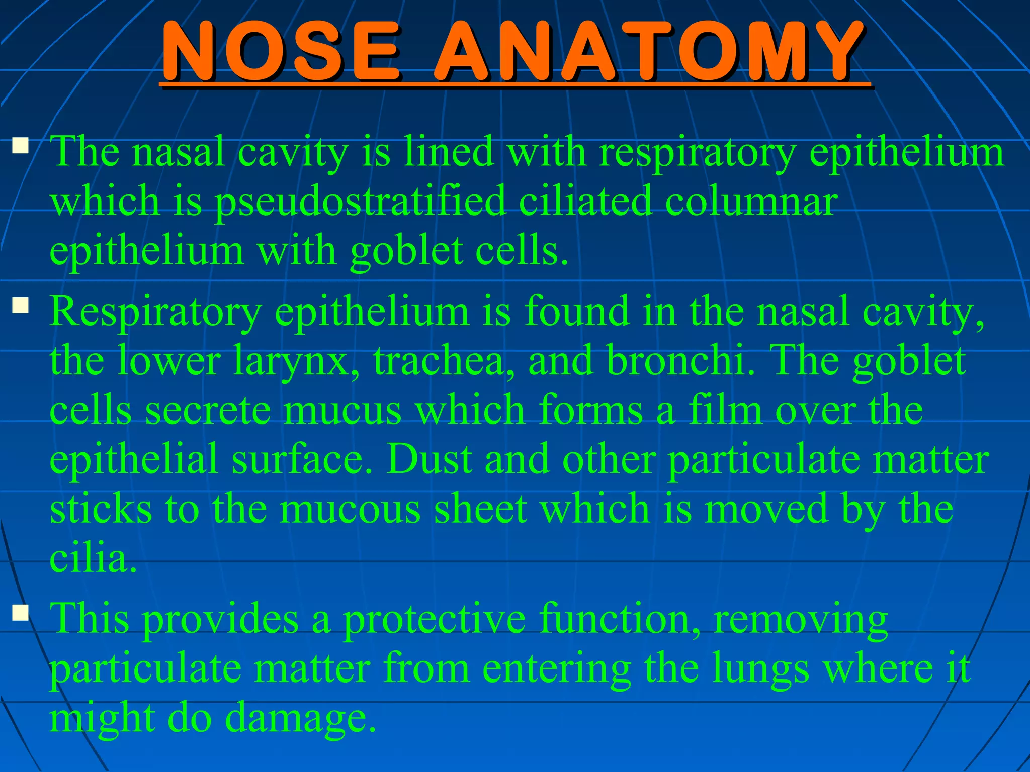 NOSE ANATOMY
   The nasal cavity is lined with respiratory epithelium
    which is pseudostratified ciliated columnar
    epithelium with goblet cells.
   Respiratory epithelium is found in the nasal cavity,
    the lower larynx, trachea, and bronchi. The goblet
    cells secrete mucus which forms a film over the
    epithelial surface. Dust and other particulate matter
    sticks to the mucous sheet which is moved by the
    cilia.
   This provides a protective function, removing
    particulate matter from entering the lungs where it
    might do damage.
 