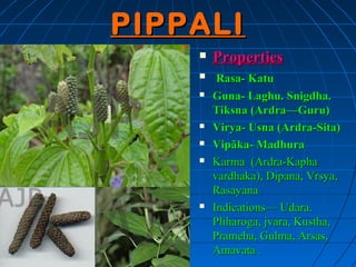 PIPPALI
       Properties
        Rasa- Katu
       Guna- Laghu. Snigdha.
        Tiksna (Ardra—Guru)
       Virya- Usna (Ardra-Sita)
       Vipãka- Madhura
       Karma (Ardra-Kapha
        vardhaka), Dipana, Vrsya,
        Rasayana
       Indications— Udara.
        Pliharoga, jvara, Kustha,
        Prameha, Gulma, Arsas,
        Amavata .
 