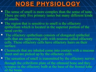 NOSE PHYSIOLOGY
   The sense of smell is more complex than the sense of taste.
    There are only five primary tastes but many different kinds
    of smells.
   The region that is sensitive to smell is the olfactory
    epithelium which is located in the superior portion of the
    nasal cavity.
    The olfactory epithelium consists of elongated epithelial
    cells that are supporting cells with neurons called olfactory
    cells. These olfactory cells have olfactory hairs on their
    surface.
   Chemicals that are inhaled come into contact with a mucous
    sheet and are picked up by the olfactory cells.
   The sensation of smell is transmitted by the olfactory nerves
    through the cribriform plate of the ethmoid bone and they
    synapse in the olfactory bulb at the base of the frontal lobe
    of the brain.
 