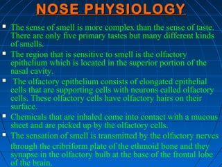 NOSE PHYSIOLOGY
   The sense of smell is more complex than the sense of taste.
    There are only five primary tastes but...