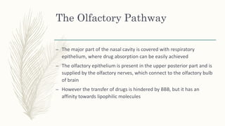 The Olfactory Pathway
– The major part of the nasal cavity is covered with respiratory
epithelium, where drug absorption can be easily achieved
– The olfactory epithelium is present in the upper posterior part and is
supplied by the olfactory nerves, which connect to the olfactory bulb
of brain
– However the transfer of drugs is hindered by BBB, but it has an
affinity towards lipophilic molecules
 