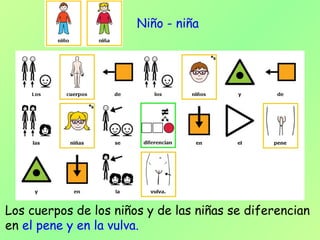 Los cuerpos de los niños y de las niñas se diferencian
en el pene y en la vulva.
Niño - niña
 