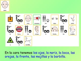 En la cara tenemos los ojos, la nariz, la boca, las
orejas, la frente, las mejillas y la barbilla.
 