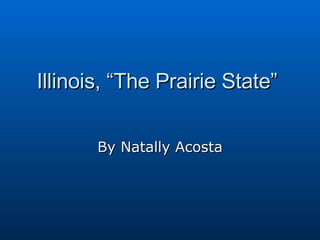 Illinois, “The Prairie State”  By Natally Acosta 