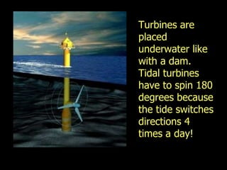 Video clip on tidal power Turbines are placed underwater like with a dam.  Tidal turbines have to spin 180 degrees because the tide switches directions 4 times a day! 