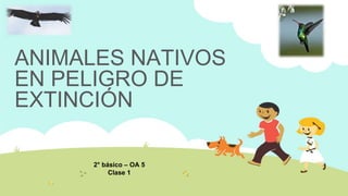 ANIMALES NATIVOS
EN PELIGRO DE
EXTINCIÓN
2° básico – OA 5
Clase 1
 