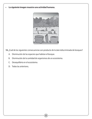 8 
• La siguiente imagen muestra una actividad humana. 
18. ¿Cuál de las siguientes consecuencias son producto de la tala indiscriminada de bosques? 
A. Disminución de las especies que habitan el bosque. 
B. Disminución de la cantidad de organismos de un ecosistema. 
C. Desequilibrio en el ecosistema. 
D. Todas las anteriores. 
 