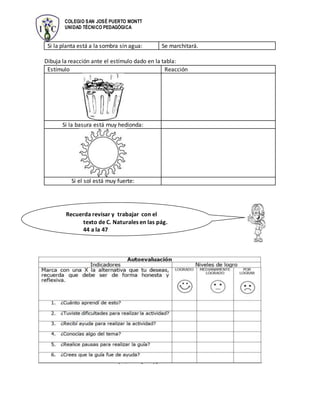 COLEGIO SAN JOSÉ PUERTO MONTT
UNIDAD TÉCNICO PEDAGÓGICA
Si la planta está a la sombra sin agua: Se marchitará.
Dibuja la reacción ante el estímulo dado en la tabla:
Estímulo Reacción
Si la basura está muy hedionda:
Si el sol está muy fuerte:
Recuerda revisar y trabajar con el
texto de C. Naturales en las pág.
44 a la 47
 