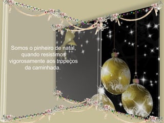 Somos o pinheiro de natal,
     quando resistimos
vigorosamente aos tropeços
      da caminhada.
 