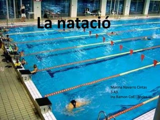 La natació


         Marina Navarro Cintas
         3 A3
         Ins Ramon Coll i Rodes
 