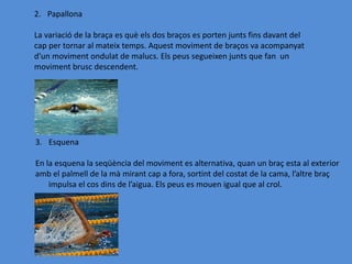 2. Papallona

La variació de la braça es què els dos braços es porten junts fins davant del
cap per tornar al mateix temps. Aquest moviment de braços va acompanyat
d'un moviment ondulat de malucs. Els peus segueixen junts que fan un
moviment brusc descendent.




3. Esquena

En la esquena la seqüència del moviment es alternativa, quan un braç esta al exterior
amb el palmell de la mà mirant cap a fora, sortint del costat de la cama, l’altre braç
    impulsa el cos dins de l’aigua. Els peus es mouen igual que al crol.
 