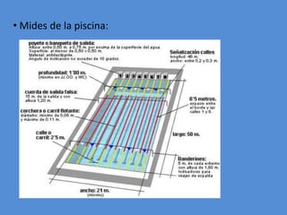 • Mides de la piscina:
 