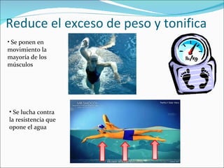 Reduce el exceso de peso y tonifica
• Se ponen en
movimiento la
mayoría de los
músculos




• Se lucha contra
la resistencia que
opone el agua
 