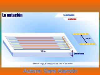 Autora: Sara Alarcón