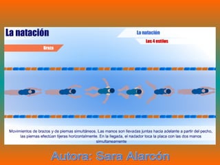 Autora: Sara Alarcón