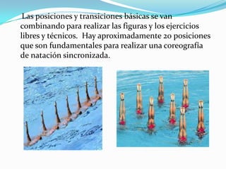 Las posiciones y transiciones básicas se van
combinando para realizar las figuras y los ejercicios
libres y técnicos. Hay aproximadamente 20 posiciones
que son fundamentales para realizar una coreografía
de natación sincronizada.

 
