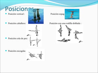 Posiciones 
 Posición vertical : Posición espagat: 
 Posición caballero: Posición con una rodilla doblada : 
 Posición cola de pez: 
 Posición encogida: 
 