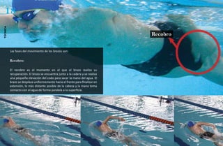 18
técnica




                                                                               Recobro


          Las fases del movimiento de los brazos son:

          Recobro:

          El recobro es el momento en el que el brazo realiza su
          recuperación. El brazo se encuentra junto a la cadera y se realiza
          una pequeña elevación del codo para sacar la mano del agua. El
          brazo se desplaza uniformemente hacia el frente para finalizar en
          extensión, lo más distante posible de la cabeza y la mano toma
          contacto con el agua de forma paralela a la superficie.
 