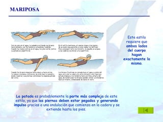 MARIPOSA La patada  es probablemente la  parte más compleja  de este estilo, ya que  las piernas deben estar pegadas y generando impulso  gracias a una ondulación que comienza en la cadera y se extiende hasta los pies.  Este estilo requiere que  ambos lados del cuerpo hagan exactamente lo mismo . 
