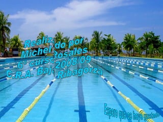 Realizado por  Michel Rosales  6º curso 2008/09 C.R.A. Baja Ribagorza Espero que os haya gustado 