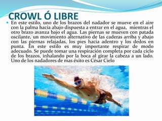 CROWL Ó LIBRE En este estilo, uno de los brazos del nadador se mueve en el aire
con la palma hacia abajo dispuesta a entrar en el agua, mientras el
otro brazo avanza bajo el agua. Las piernas se mueven con patada
oscilante, un movimiento alternativo de las caderas arriba y abajo
con las piernas relajadas, los pies hacia adentro y los dedos en
punta. En este estilo es muy importante respirar de modo
adecuado. Se puede tomar una respiración completa por cada ciclo
de los brazos, inhalando por la boca al girar la cabeza a un lado.
Uno de los nadadores de mas éxito es César Cielo
 