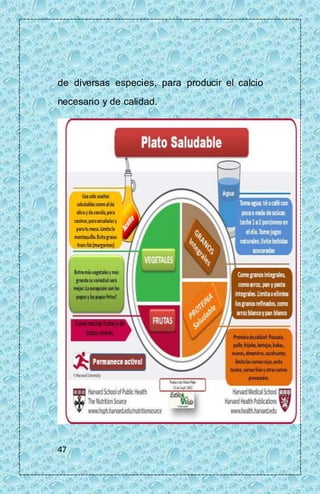 de diversas especies, para producir el calcio 
necesario y de calidad. 
47 
 