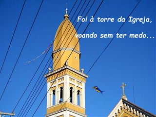 Foi à torre da Igreja,
voando sem ter medo...
 
