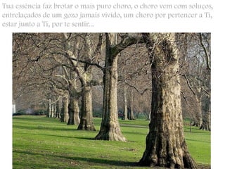 Tua essência faz brotar o mais puro choro, o choro vem com soluços, entrelaçados de um gozo jamais vivido, um choro por pertencer a Ti, estar junto a Ti, por te sentir...