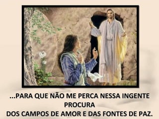 ...PARA QUE NÃO ME PERCA NESSA INGENTE PROCURA DOS CAMPOS DE AMOR E DAS FONTES DE PAZ. 