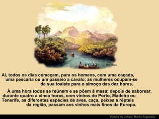 Pintura de Johann Moritz Rugendas
Aí, todos os dias começam, para os homens, com uma caçada,
uma pescaria ou um passeio a cavalo; as mulheres ocupam-se
de sua toalete para o almoço das dez horas.
À uma hora todos se reúnem e se põem à mesa; depois de saborear,
durante quatro a cinco horas, com vinhos do Porto, Madeira ou
Tenerife, as diferentes espécies de aves, caça, peixes e répteis
da região, passam aos vinhos mais finos da Europa.
 