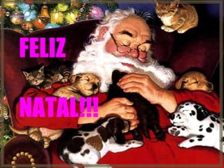 FELIZ  NATAL!!! 
