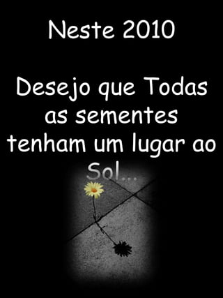 Neste 2010 Desejo que Todas as sementes tenham um lugar ao Sol...